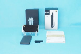 日本数字音频播放器购买指南与技术发展趋势